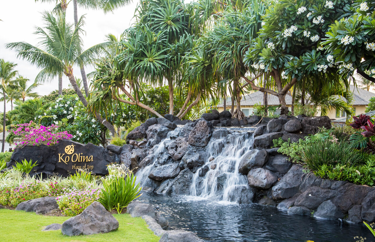 Picture of the Waterfall at the Entrance of Coconut Plantation on Ko Olina.