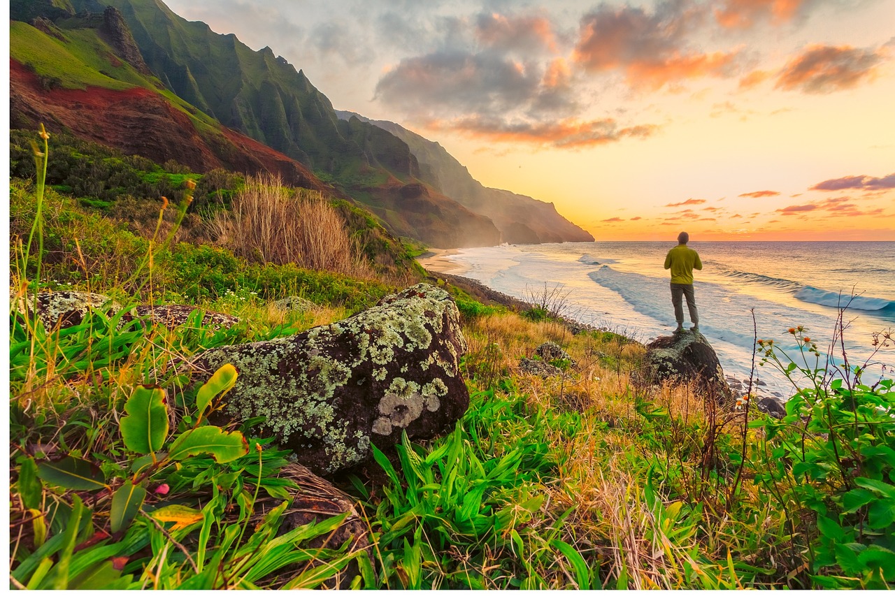 Oahu Nature and Sightseeing