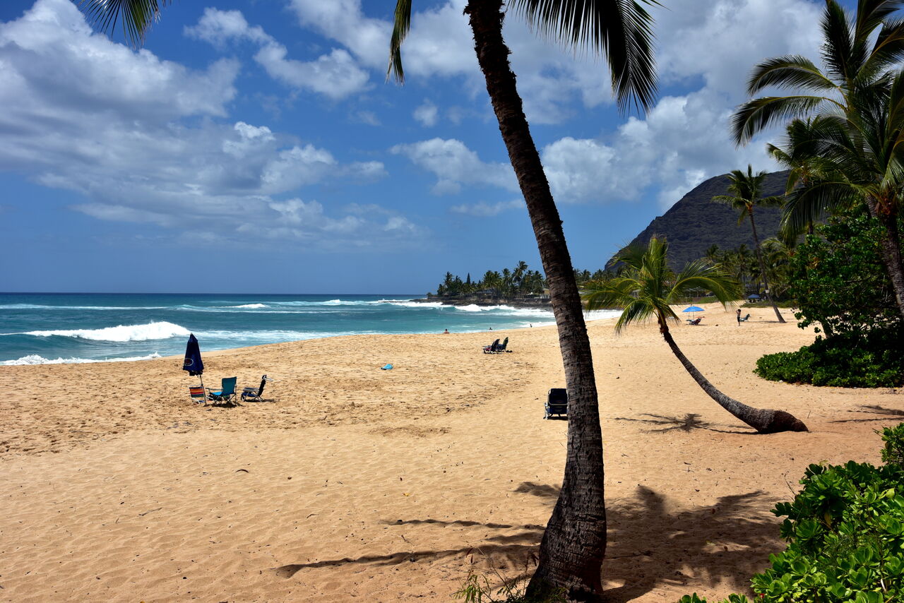 The Beach View from our Short Term Rentals in Oahu.