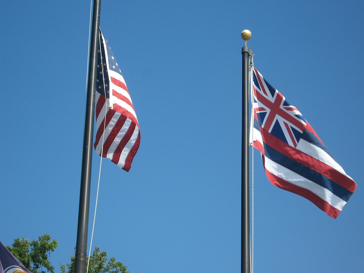 Flags Flying During Oahu Memorial Day.
