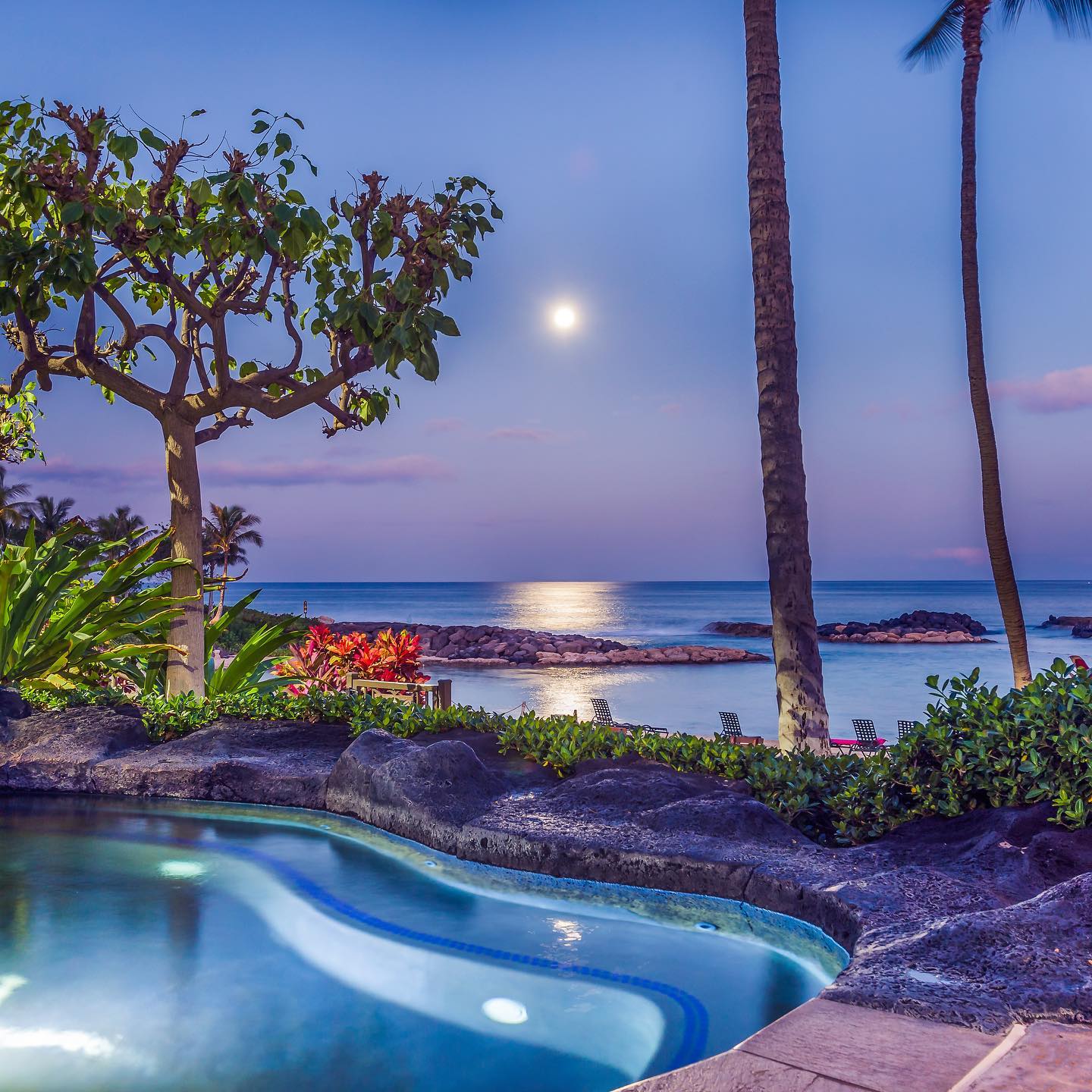 Search our Top Hawaii Vacation Rentals in Oahu  Ola Properties