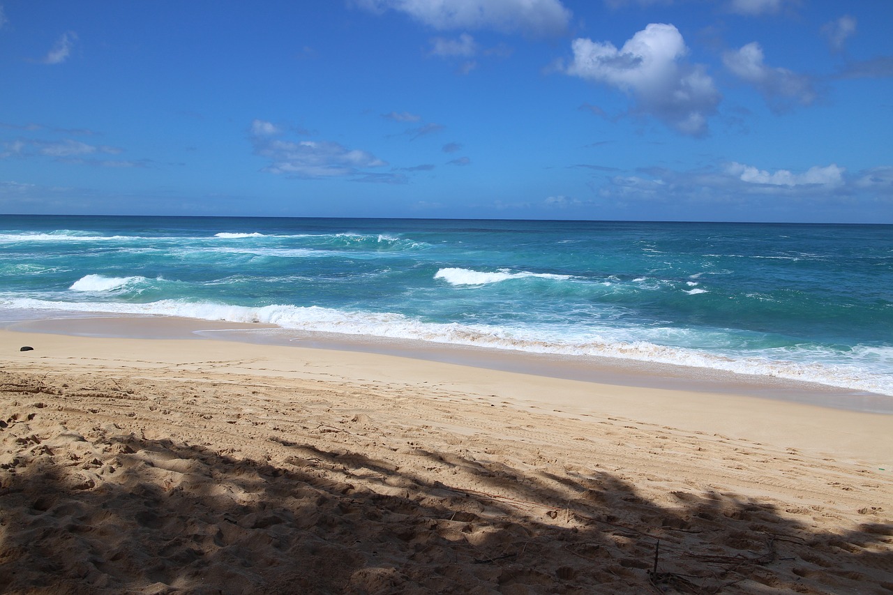 Oahu beach during winter