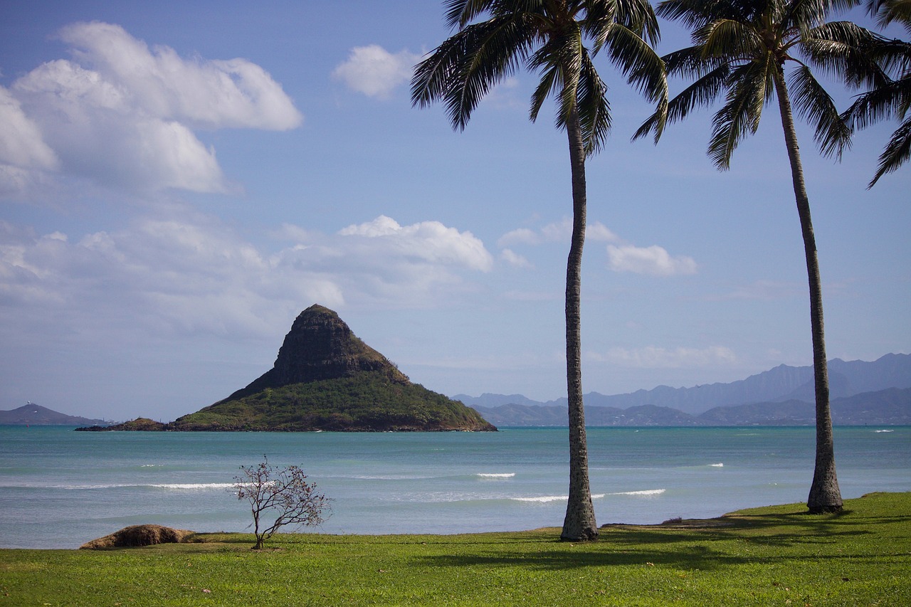 Views from the beach in Oahu