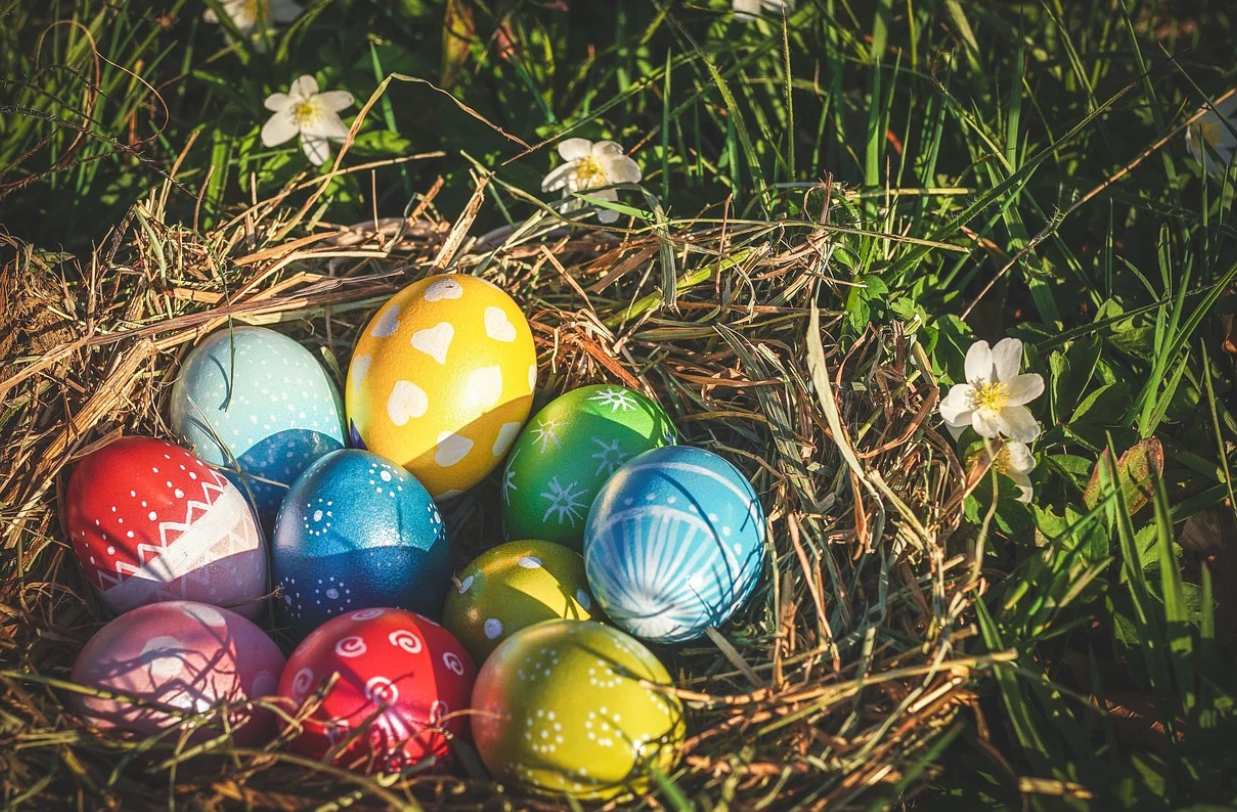eggs for Easter Oahu 2023