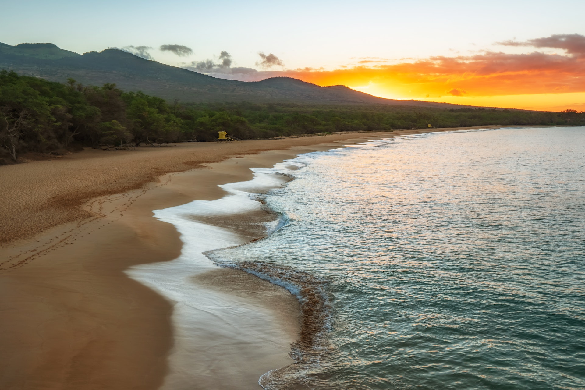 Manoa Valley's Paradise Park could find new life as a cultural oasis